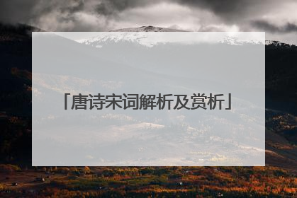 唐诗宋词解析及赏析