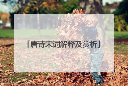 唐诗宋词解释及赏析