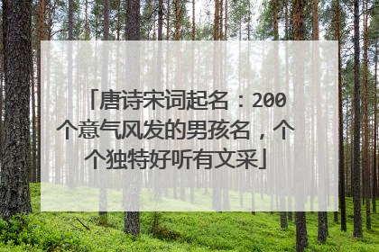唐诗宋词起名:200个意气风发的男孩名,个个独特好听有文采
