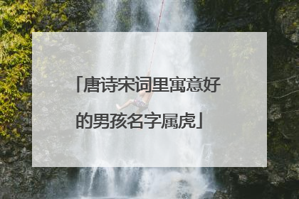 唐诗宋词里寓意好的男孩名字属虎