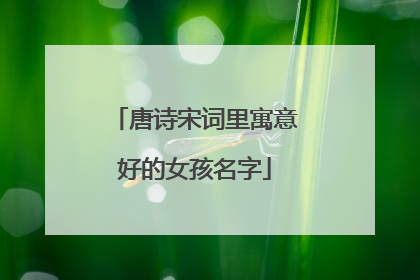 唐诗宋词里寓意好的女孩名字