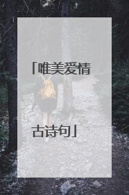 唯美爱情古诗句