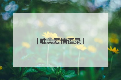唯美爱情语录