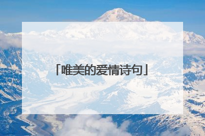 唯美的爱情诗句
