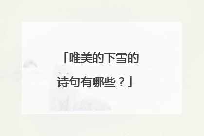 唯美的下雪的诗句有哪些？