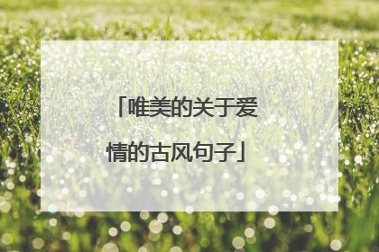 唯美的关于爱情的古风句子