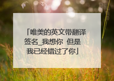 唯美的英文带翻译签名_我想你 但是我已经错过了你