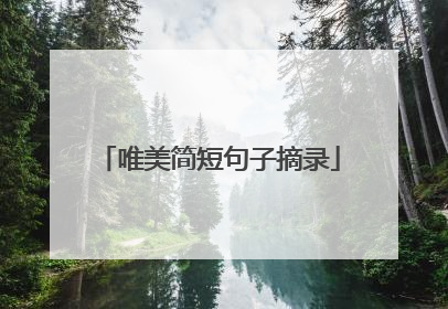 唯美简短句子摘录