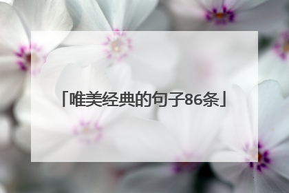 唯美经典的句子86条