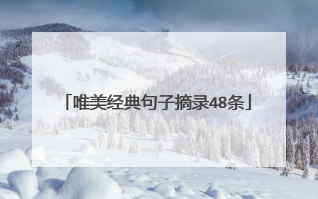 唯美经典句子摘录48条