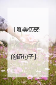 唯美伤感的短句子