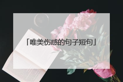 唯美伤感的句子短句