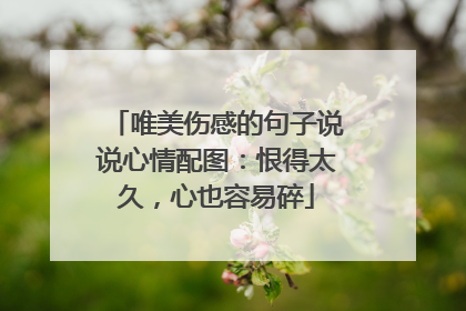 唯美伤感的句子说说心情配图：恨得太久，心也容易碎