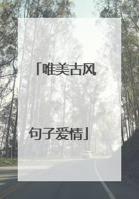 唯美古风句子爱情