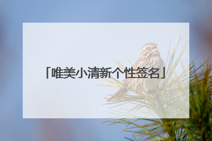 唯美小清新个性签名