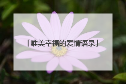 唯美幸福的爱情语录