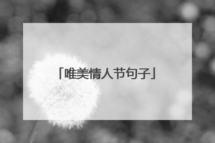 唯美情人节句子