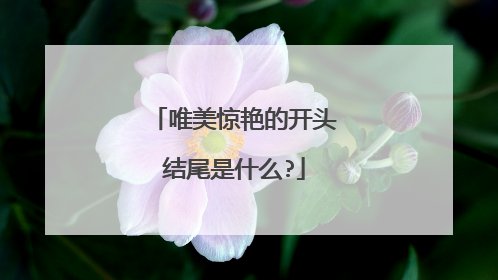 唯美惊艳的开头结尾是什么?