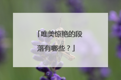 唯美惊艳的段落有哪些?
