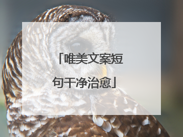 唯美文案短句干净治愈