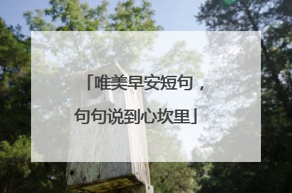 唯美早安短句，句句说到心坎里