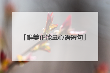 唯美正能量心语短句