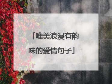 唯美浪漫有韵味的爱情句子