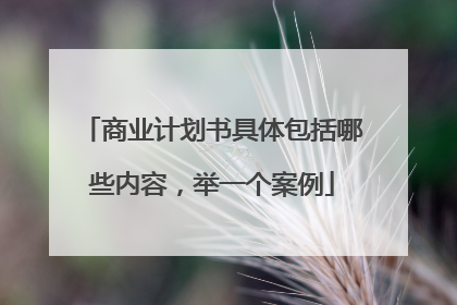 商业计划书具体包括哪些内容，举一个案例