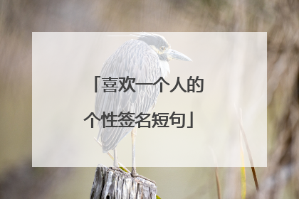 喜欢一个人的个性签名短句