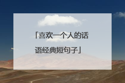 喜欢一个人的话语经典短句子