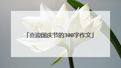 喜迎国庆节的300字作文