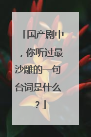 国产剧中，你听过最沙雕的一句台词是什么？