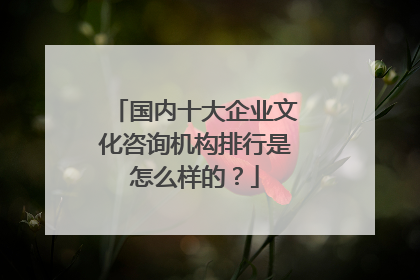 国内十大企业文化咨询机构排行是怎么样的？