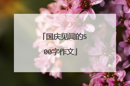 国庆见闻的500字作文