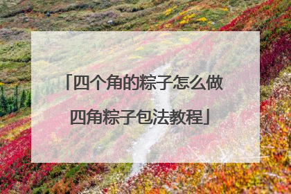四个角的粽子怎么做 四角粽子包法教程