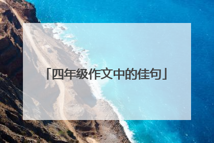 四年级作文中的佳句