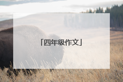 四年级作文