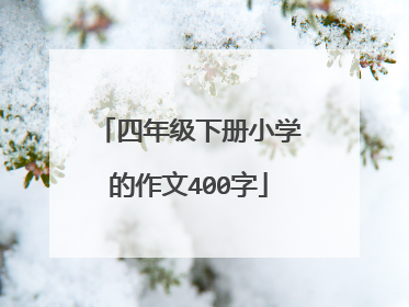四年级下册小学的作文400字