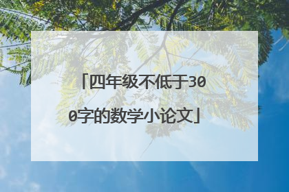 四年级不低于300字的数学小论文