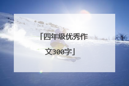四年级优秀作文300字