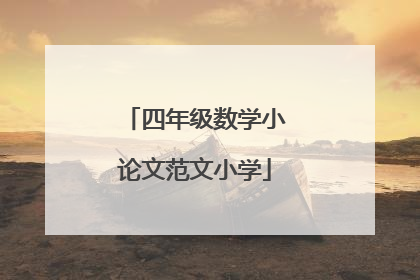 四年级数学小论文范文小学