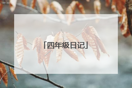 四年级日记