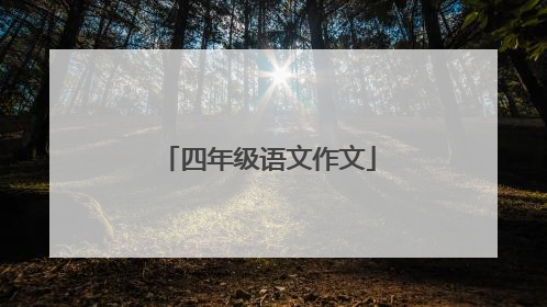 四年级语文作文
