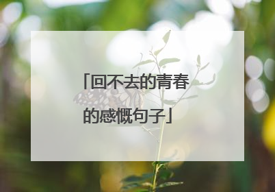 回不去的青春的感慨句子