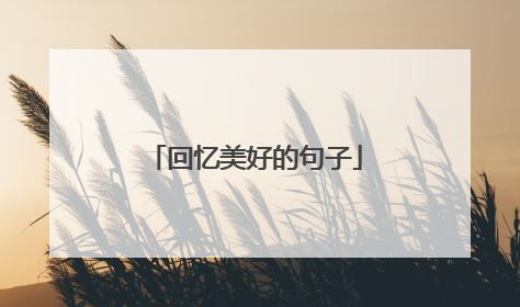 回忆美好的句子