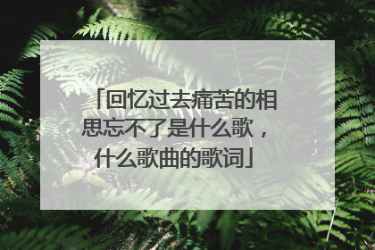 回忆过去痛苦的相思忘不了是什么歌，什么歌曲的歌词