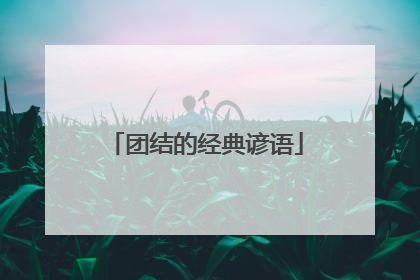 团结的经典谚语