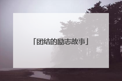 团结的励志故事