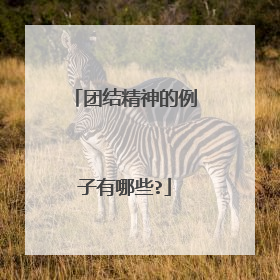 团结精神的例子有哪些?