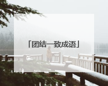 团结一致成语